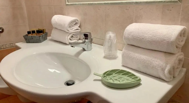 Номер Economy Hotel Virginia