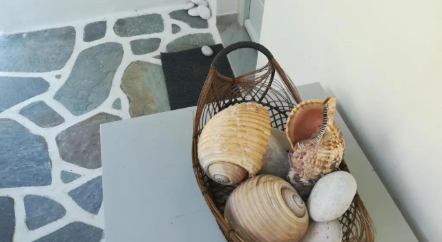 Apartamento 2 dormitorios con vista al jardín Kellys