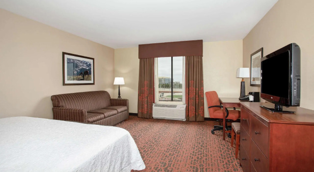 Двухместный номер Standard Hampton Inn and Suites Denver/South-RidgeGate