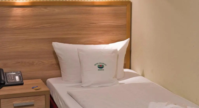 Номер Standard Hotel Waldhaus Prieros