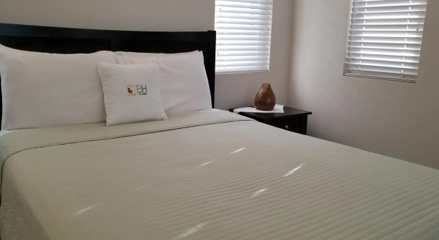 New Kingston Guest Apartment at Eight