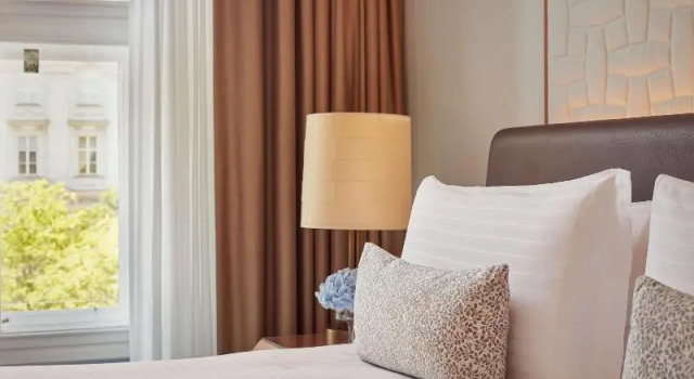 Двухместный номер Deluxe The Ritz-Carlton, Vienna