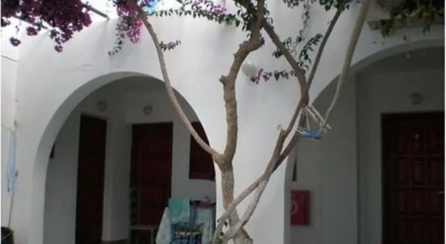 Artemis Pension