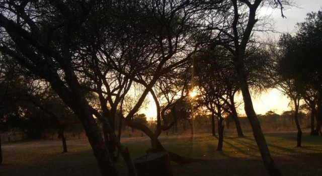 Номер Standard Golden Leopard Resorts - Manyane Resort