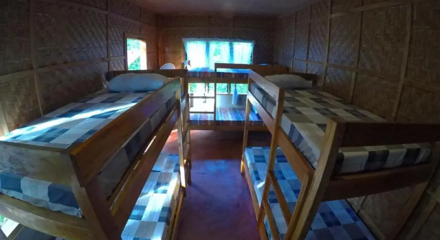 Кровать в общем номере Lazy Lizard Hostel
