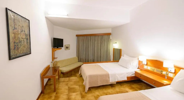 Двухместный номер Standard Hotel Europa Olympia