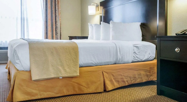 Номер Standard Quality Inn & Suites Gallup I-40 Exit 20