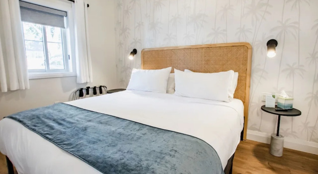 Номер Standard The Kiwi Motel