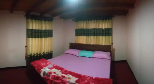 Dream wood villa 02