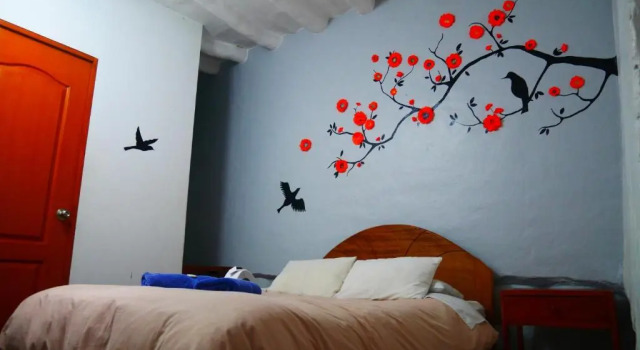 Standard single cameră Pirwa Colonial Hostel