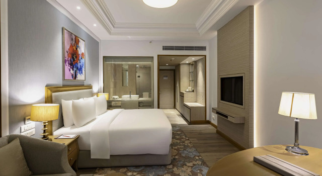 Номер Deluxe Park Plaza Jalandhar