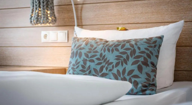 Одноместный номер Standard Hotel Der Seehof