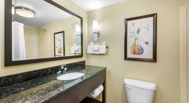 Двухместный люкс Comfort Suites Knoxville West - Farragut