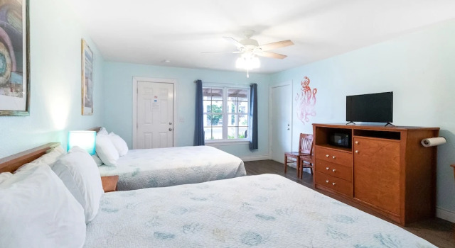 Номер Deluxe Tropic Island Resort