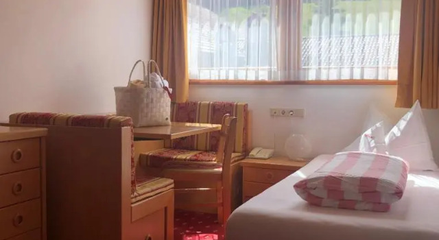 Одноместный номер Standard Hotel Rosslaufhof