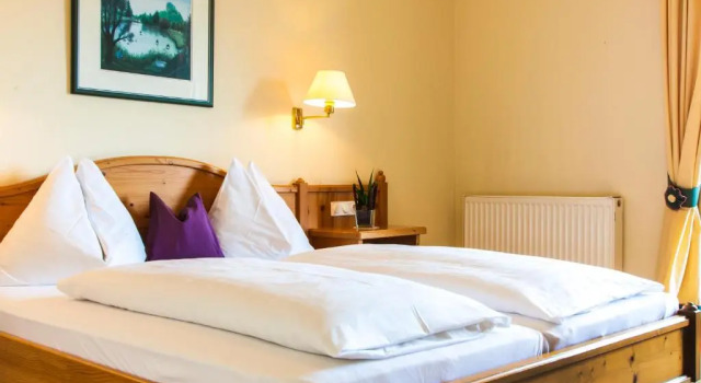 Двухместный номер Standard Landhotel Drei Eichen
