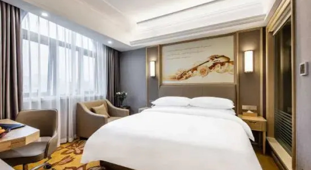 Люкс Deluxe Vienna Hotel (Lishui Qingtian High-Speed Railway Station Branch)