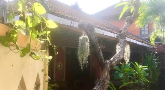 Номер Standard Lestari Homestay