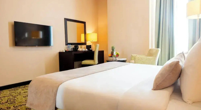 Superior single cameră cu vedere la oraș City Gate Hotel