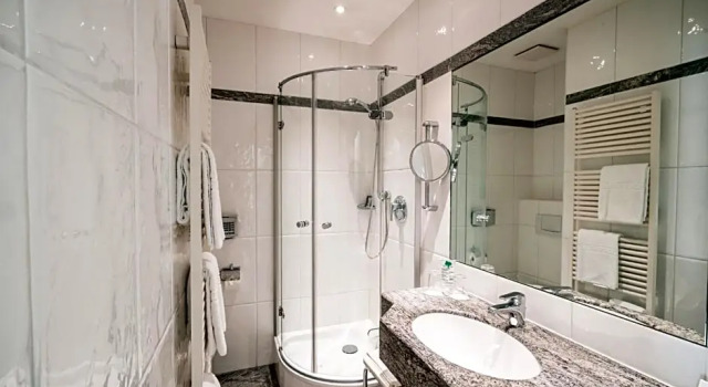 Номер Business Deidesheimer Hof