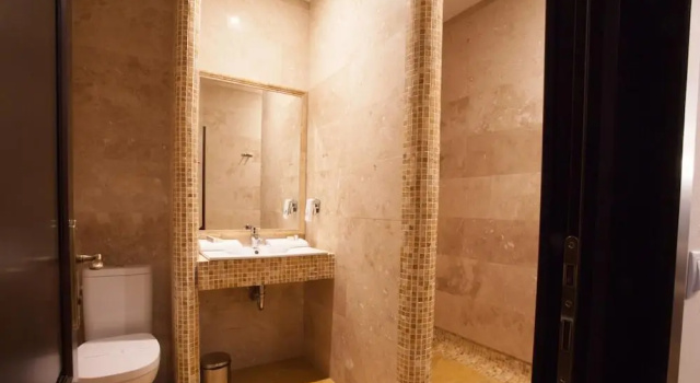 Номер Standard Rediu Hotel & Restaurant