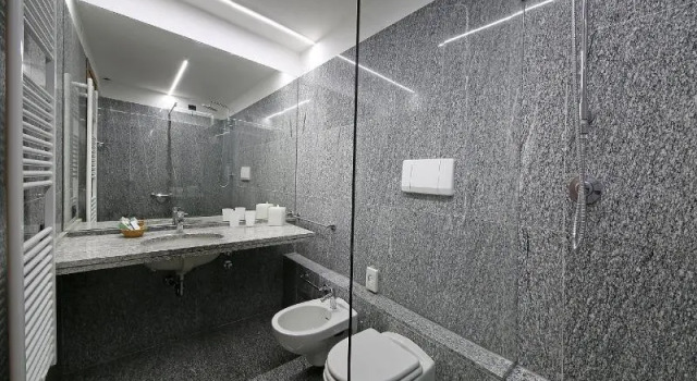 Номер Comfort Hotel Salò du Parc
