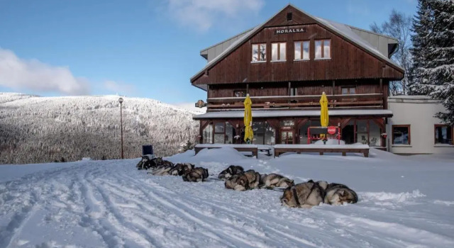 Люкс Pension Horalka