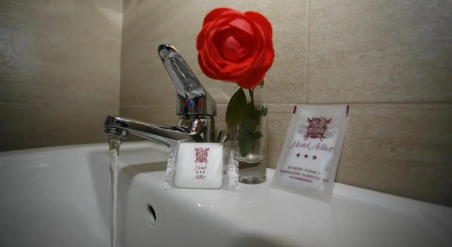 Двухместный номер Hotel Adler