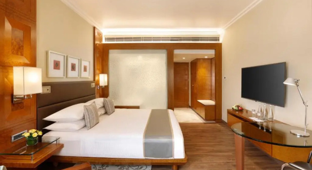 Двухместный номер Hyatt Hyatt Regency Delhi