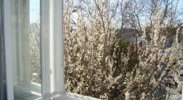 Riki Accommodation, Prenota Ostello Splitska 