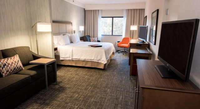 Двухместная студия Hampton Inn Albany-Western Ave/University Area