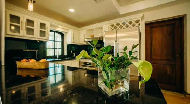 Luxury Villa on the Los Corales Beach, Playa Bavar, Rezerwuj Willa Wille w Punta Cana, Willa