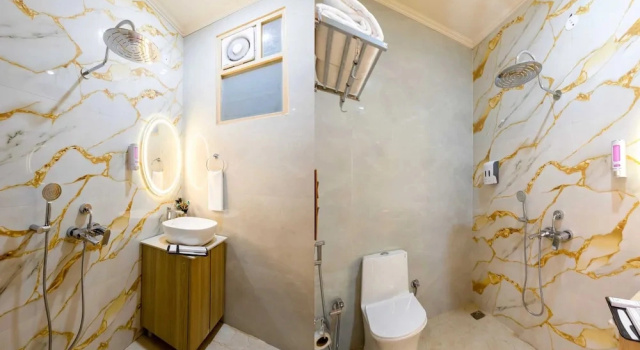 Номер Deluxe Hotel Silver Star