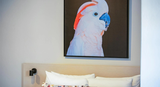 Четырёхместная студия Nightcap at the Charles Hotel
