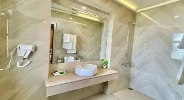 Suite Alpine Lodges