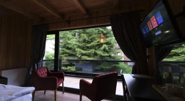 Двухместный номер Standard с балконом Ayder Villa de Pelit Hotel