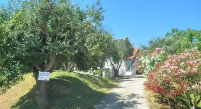 Aktipis Studios, Prenota Hotel Argassi Zante