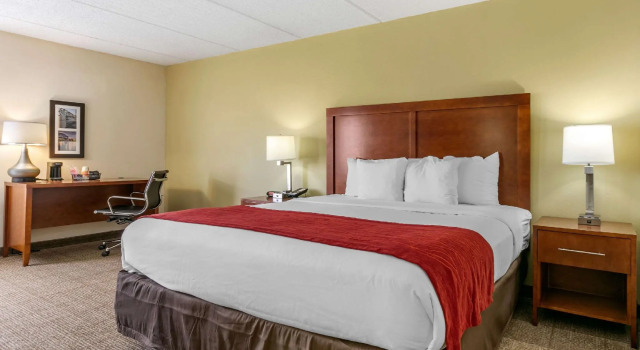 Двухместный люкс Comfort Inn Chattanooga Downtown Southside