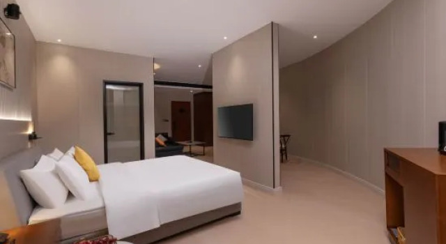 Люкс Luxury WG ELEGANT HOTEL(Zhangjiagang Jiyang Lake Branch)