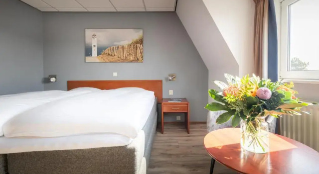 Двухместный номер Comfort Two Brothers Hotel Astoria