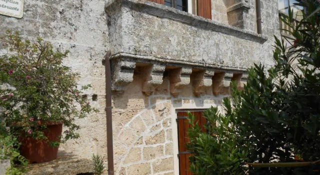 Agriturismo Serine