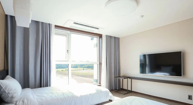 Двухместный номер Premium Jeju Stay in Seongsan Hotel