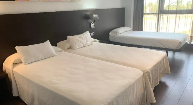 Номер Standard Hotel Sercotel Plana Parc