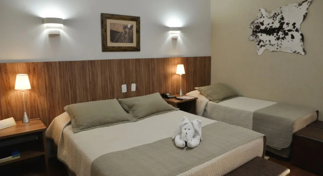 Номер Standard Barretos Country Park & Resort