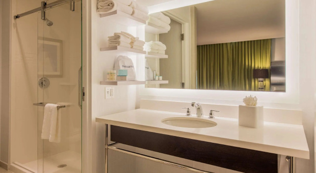 Двухместный номер с видом на стадион Standard Hampton Inn & Suites Washington, D.C. - Navy Yard
