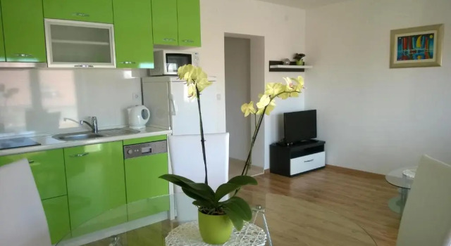 Апартаменты c 1 комнатой Apartments Kristina