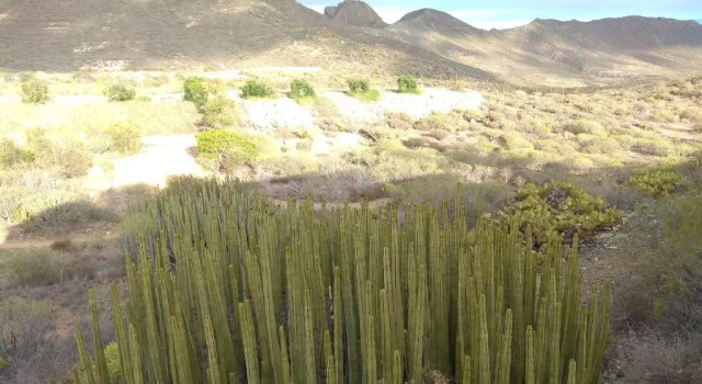 Номер Standard El Cerro de la Luna