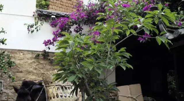Tea Horse Road Stone Town, Boek Hotel Hotels in Yunnan met parkeren, Parkeren
