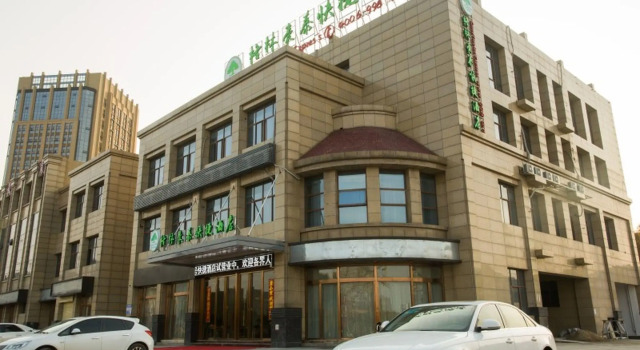Люкс Standard GreenTree Inn Hefei Lujiang County NO.1 Jin Street Express Hotel