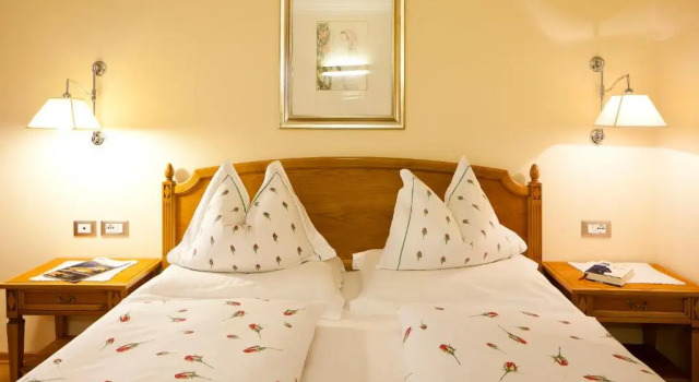 Номер Superior Hotel Aster